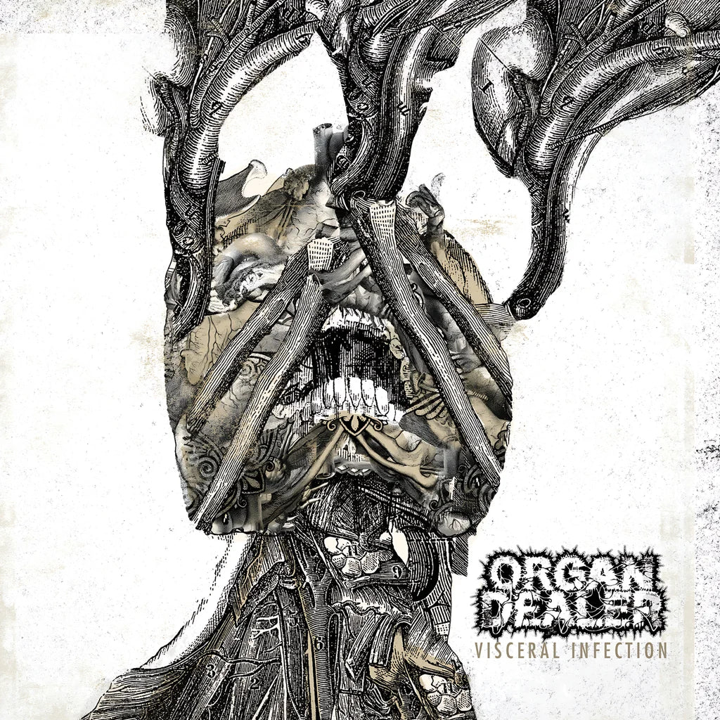 Organ Dealer "Visceral Infection" Vinyl (White w/Black Marble) (LTD to 77) Horror Pain Gore Death Productions Shop