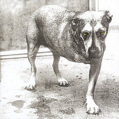 Alice In Chains - Alice In Chains - Music CD