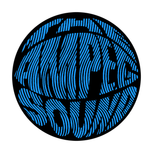 The Ampeg Sound Sticker Pluginz Keychains