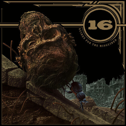 16 - Guides For The Misguided - Vinyl Record