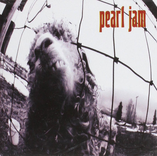 Pearl Jam "Vs." CD Rock Band Merch