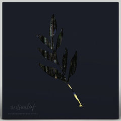Album Leaf - An Orchestrated Rise To Fall - Vinyl Record