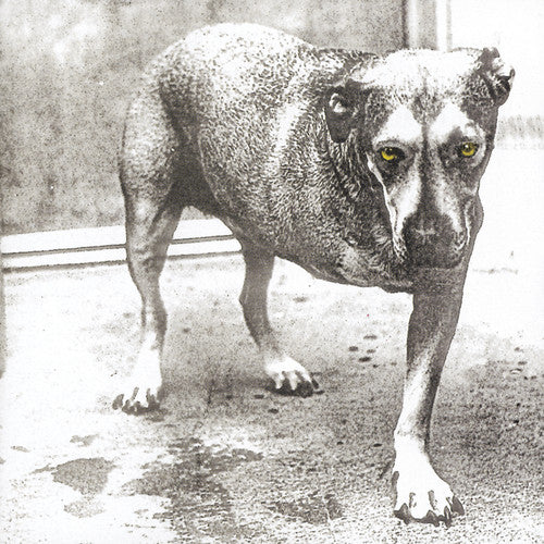 Alice In Chains - Alice In Chains - Music CD - Mainstay Entertainment