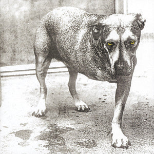 Alice In Chains - Alice in Chains [CD] - Mainstay Entertainment