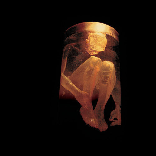 Alice In Chains - Nothing Safe: Best Of - Music CD - Mainstay Entertainment