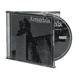 Amygdala "Our Voices Will Soar Forever" CD - Mainstay Entertainment