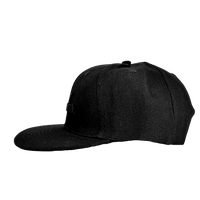 Fender Black Flat Bill Hat Pluginz Keychains