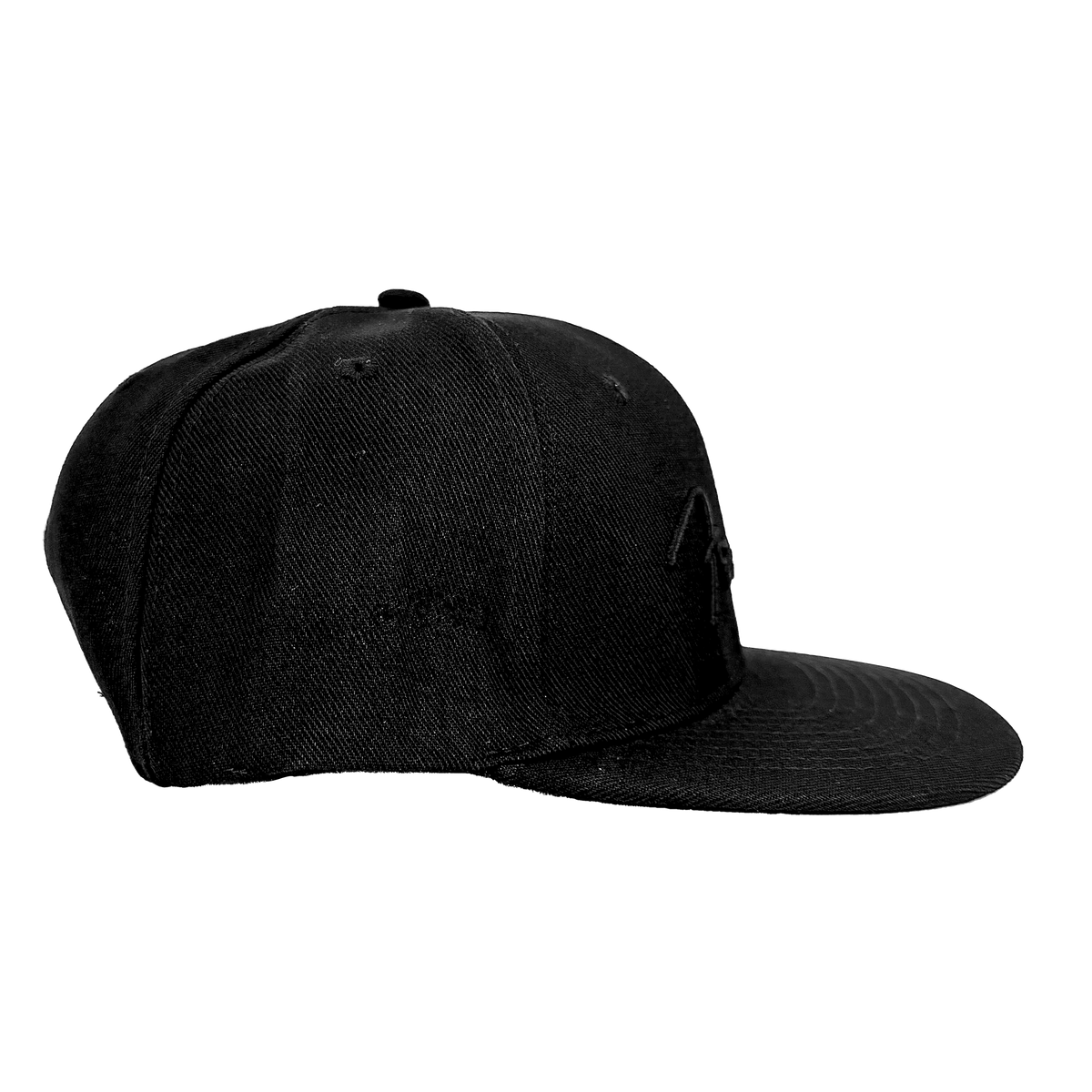 Fender Black Flat Bill Hat Pluginz Keychains