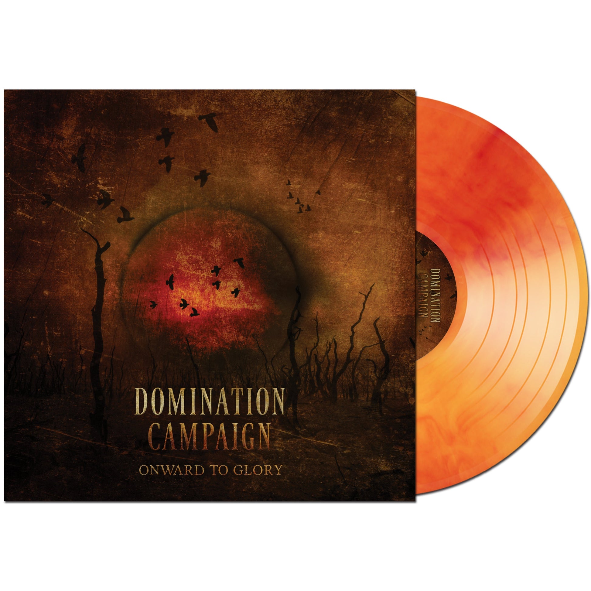 Domination Campaign - Onward to Glory on Red & Yellow Marbled Vinyl LP Prosthetic Records