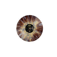 Fires In the Distance - Circadian Promise on Custard & Bone Vinyl Prosthetic Records