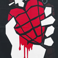 Green Day - American Idiot Textile Poster Flag Rock Movie Heroes