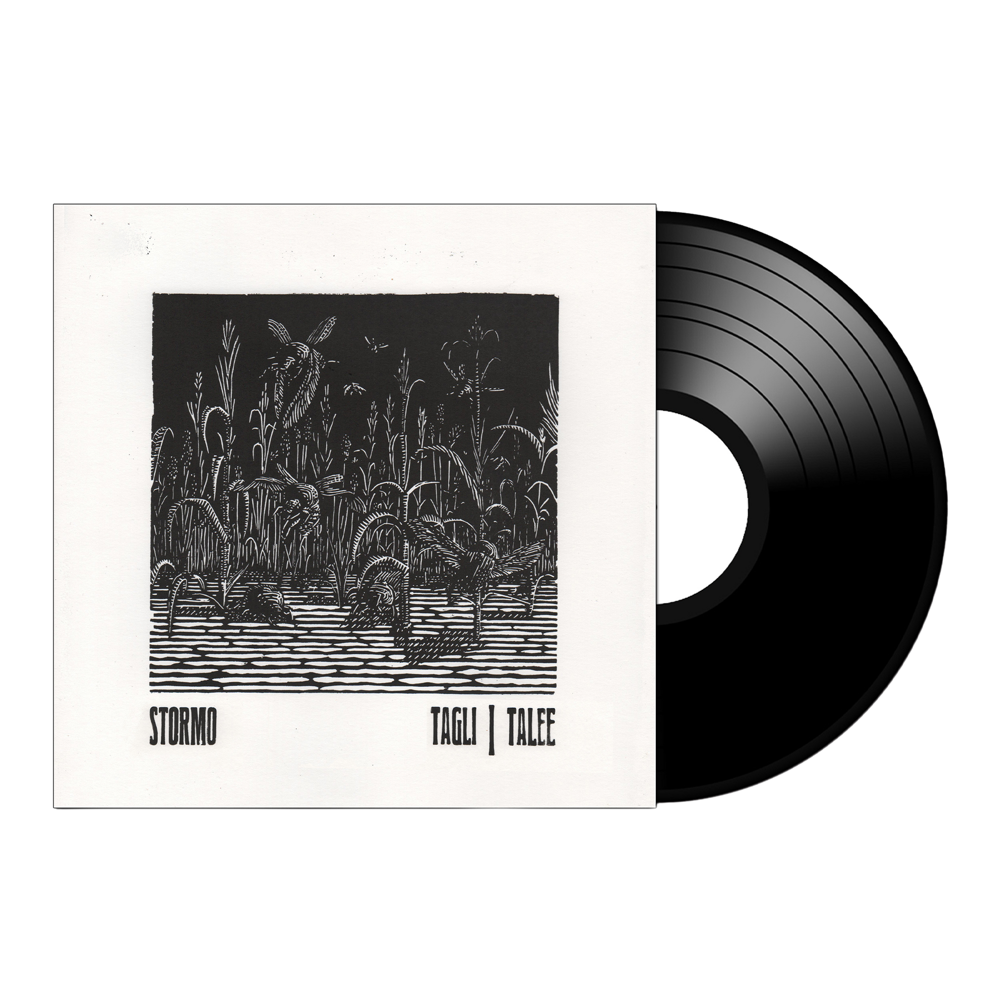 STORM(O) Tagli/Talee on Black Vinyl Prosthetic Records