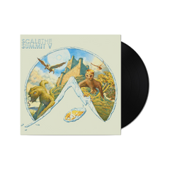Scale The Summit "V" Black Vinyl