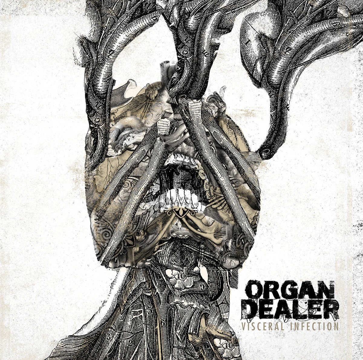 Organ Dealer "Visceral Infection" CD Horror Pain Gore Death Productions Shop