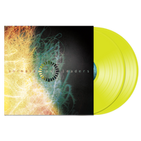 Animals As Leaders 