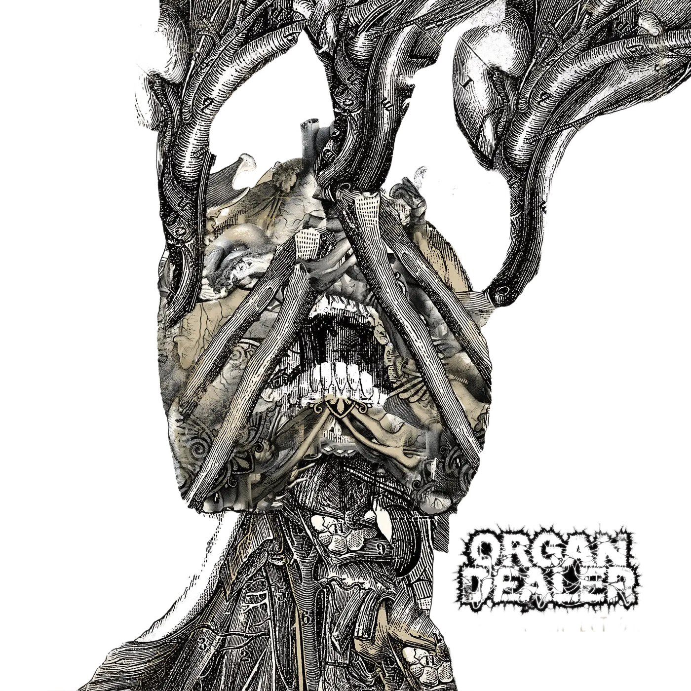ORGAN DEALER - Visceral Infection LP (Metallic Silver) LTD To 141 Horror Pain Gore Death Productions Shop