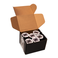Motörhead Speedfreak Single Serve Pods CONCEPT CAFES COFFEE