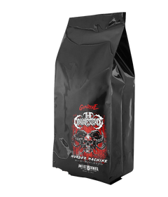 Convalescence - Brazilian Hazelnut │5LB Bag