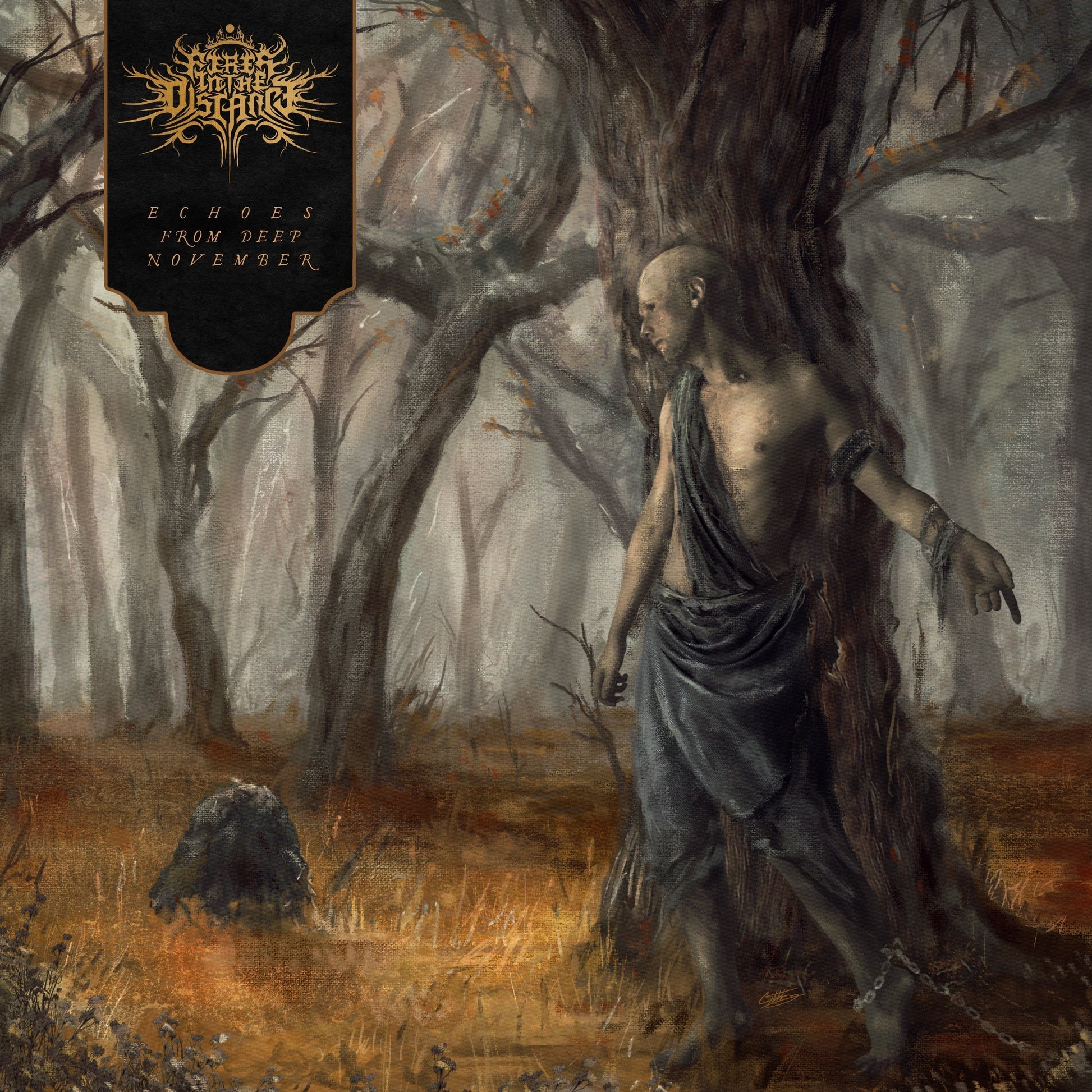 Fires in the Distance "Echoes from Deep November" CD Prosthetic Records