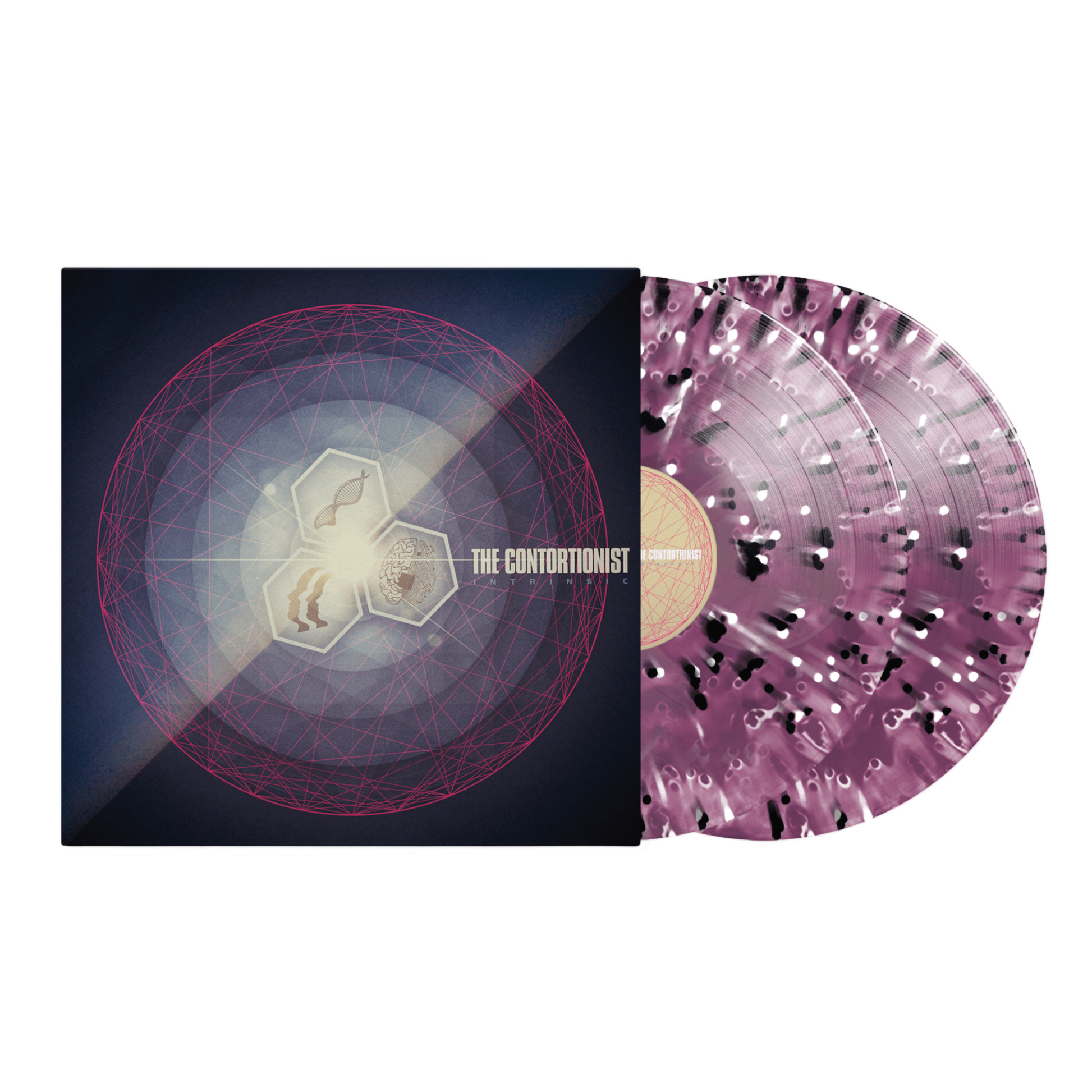 Contortionist "Intrinsic" Grape Ghost Splatter Vinyl